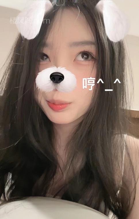 免费楼凤资源