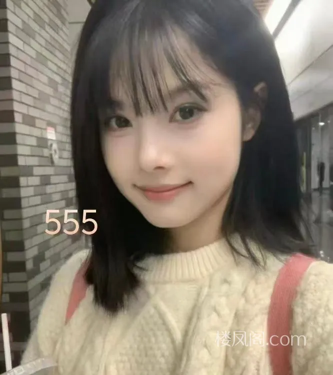 全国免费楼凤资源