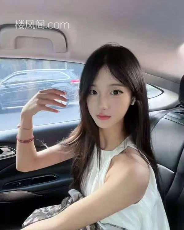 全国免费楼凤资源