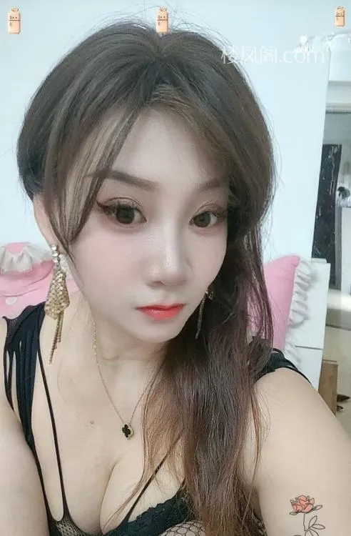 全国免费楼凤资源