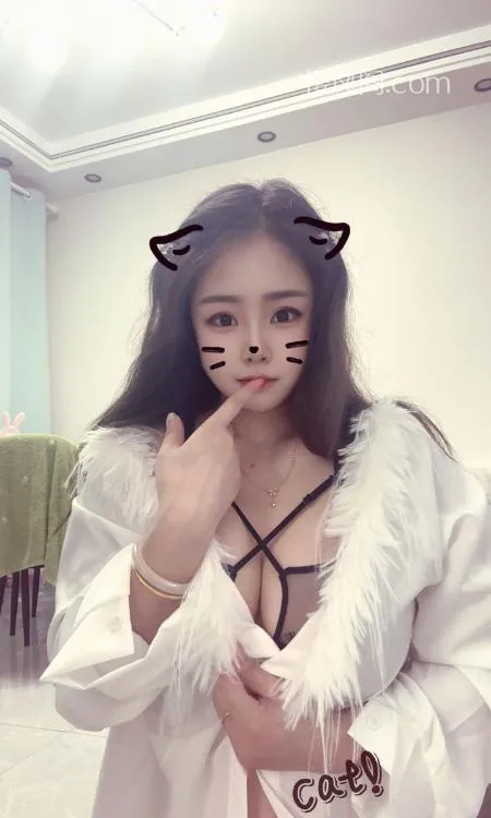 全国免费楼凤资源