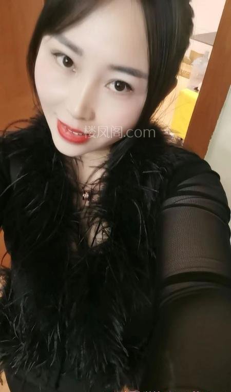 全国免费楼凤资源