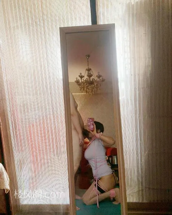 全国免费楼凤资源