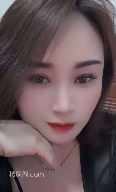 全国免费楼凤资源