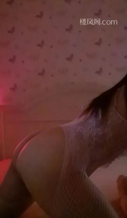 全国免费楼凤资源