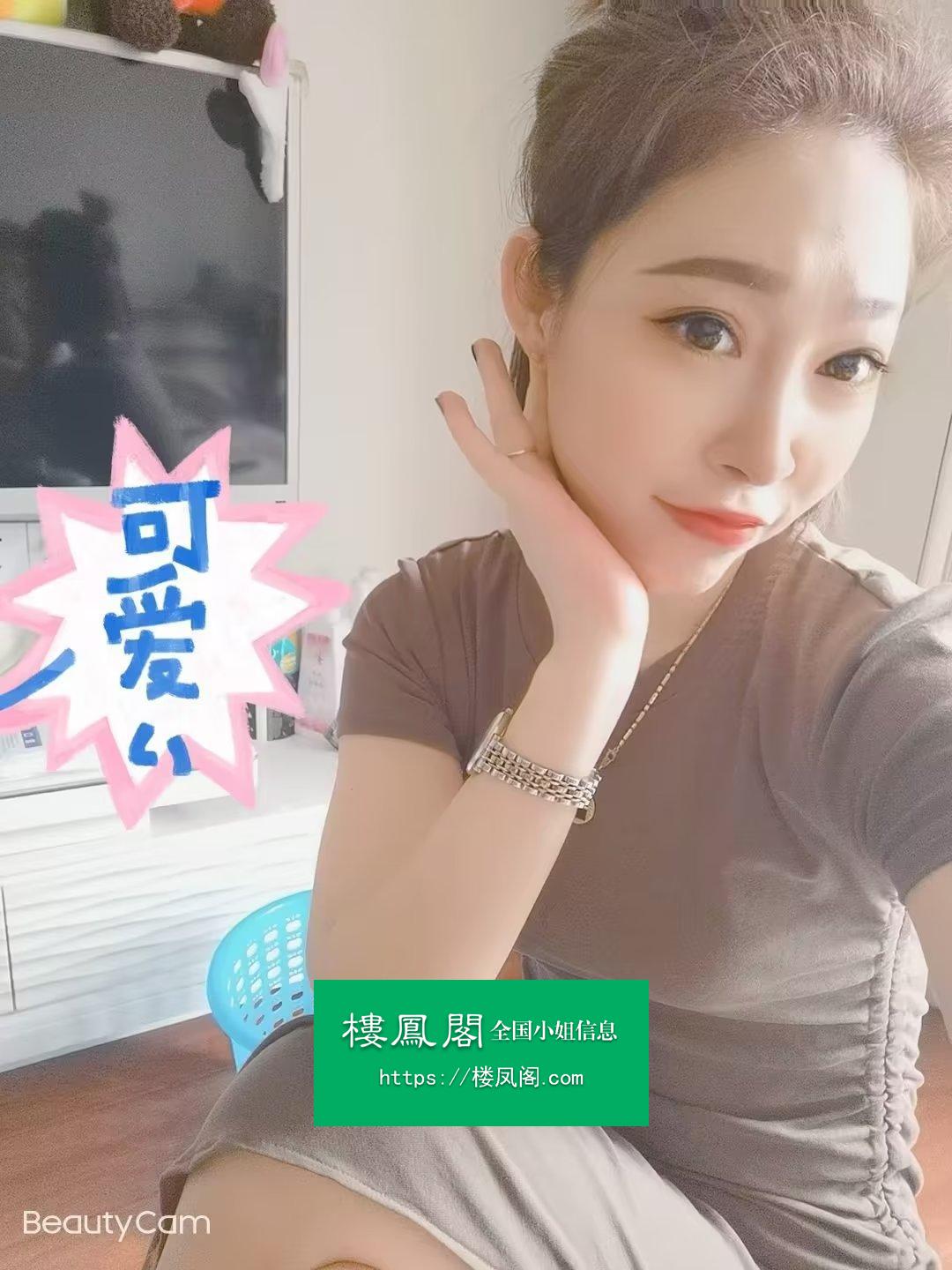 全国免费楼凤资源