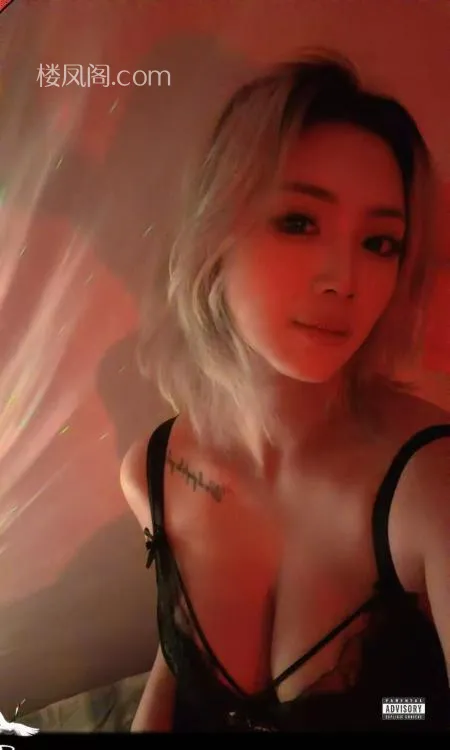 全国免费楼凤资源