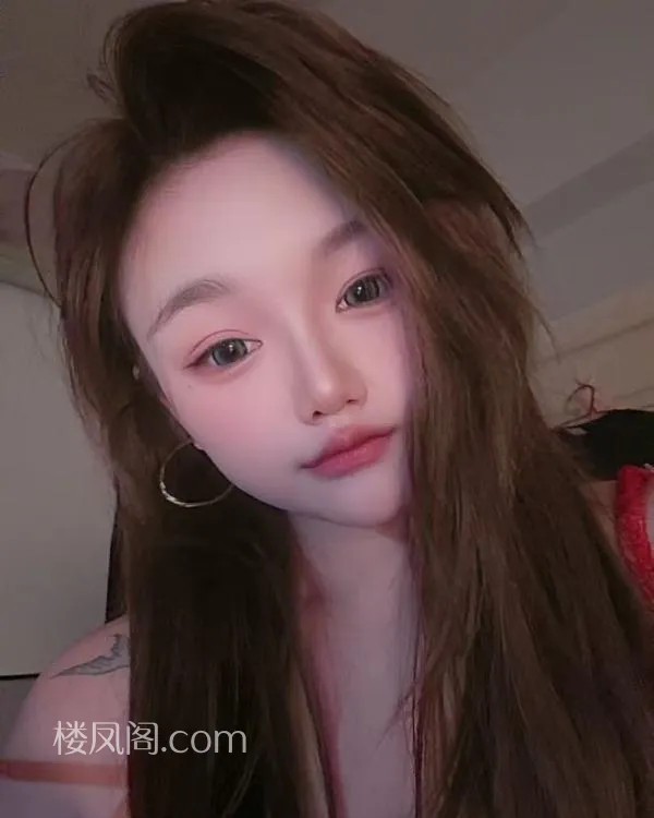 全国免费楼凤资源