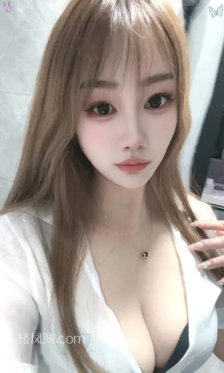 全国免费楼凤资源