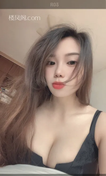 全国免费楼凤资源