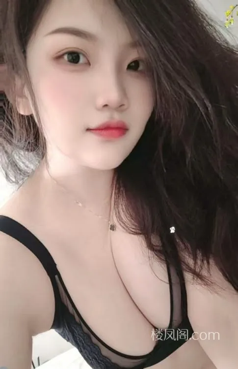 全国免费楼凤资源