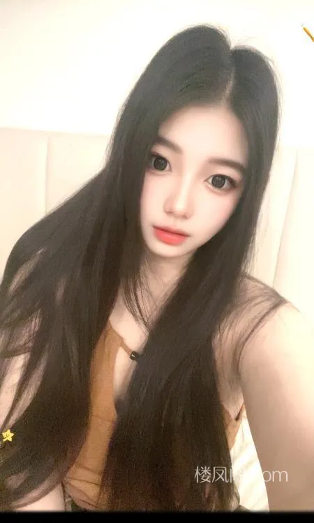 全国免费楼凤资源