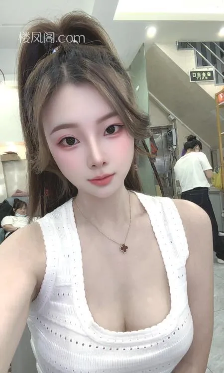 全国免费楼凤资源