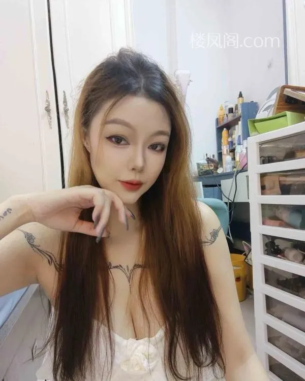 全国免费楼凤资源