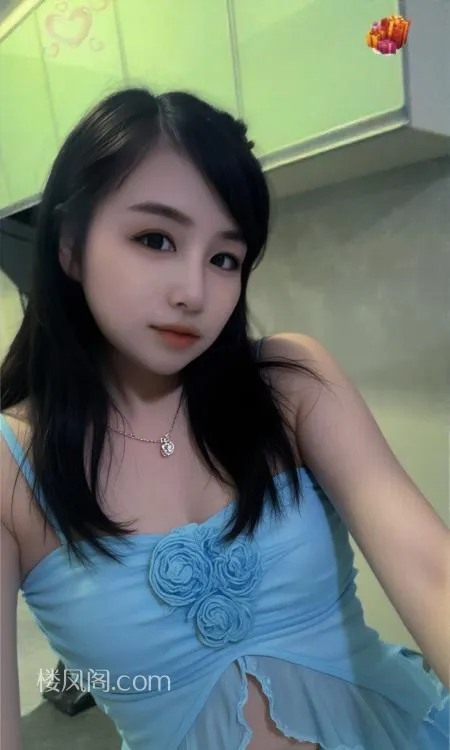 全国免费楼凤资源