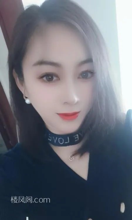 全国免费楼凤资源