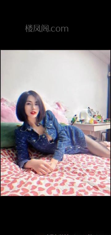 全国免费楼凤资源