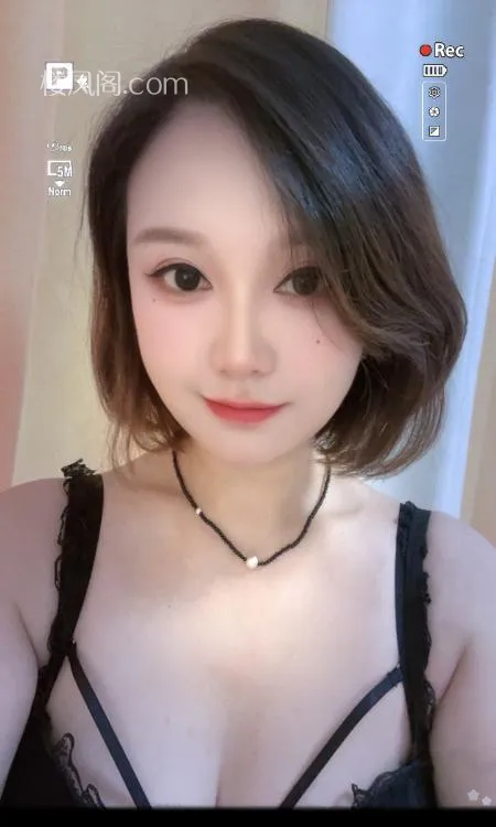 全国免费楼凤资源