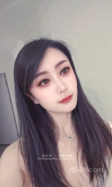 全国免费楼凤资源