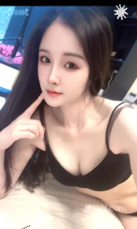 全国免费楼凤资源