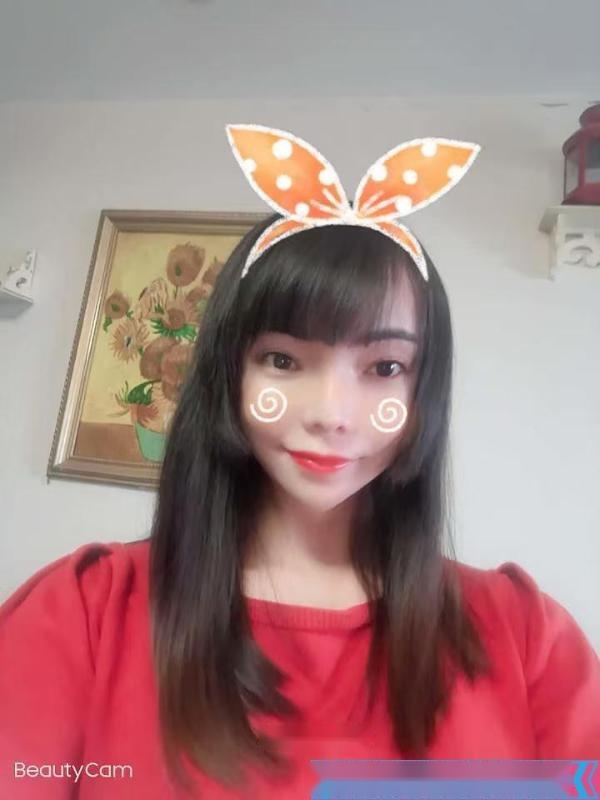 全国免费楼凤资源