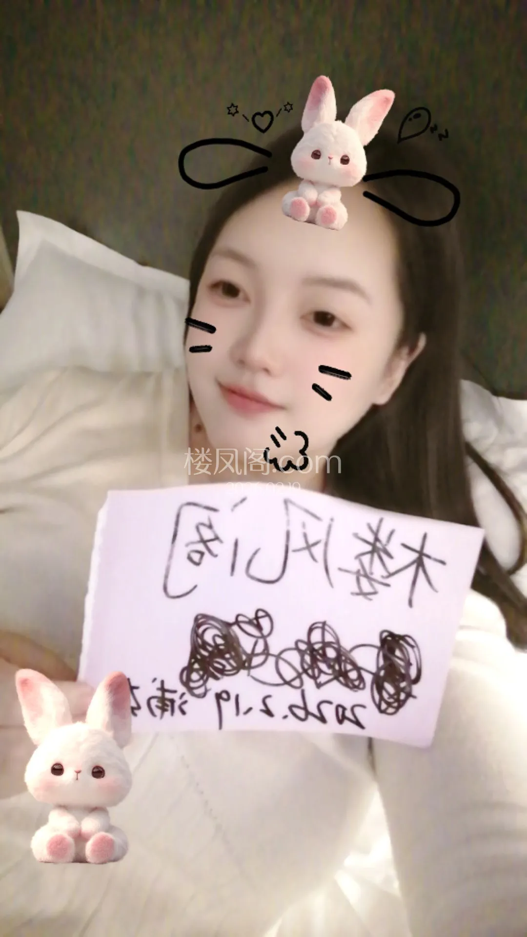 全国免费楼凤资源