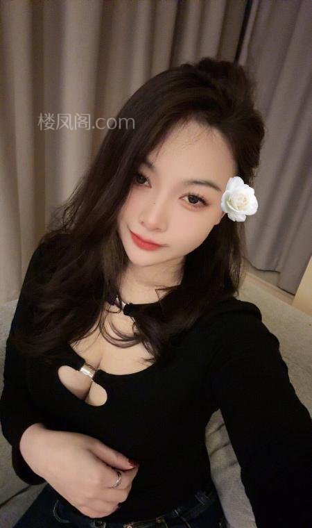 全国免费楼凤资源