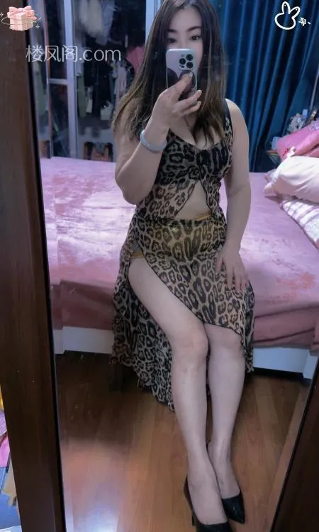 全国免费楼凤资源