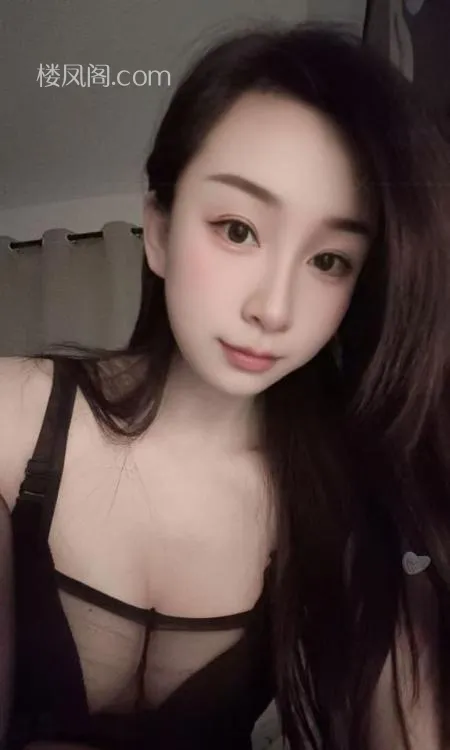 全国免费楼凤资源