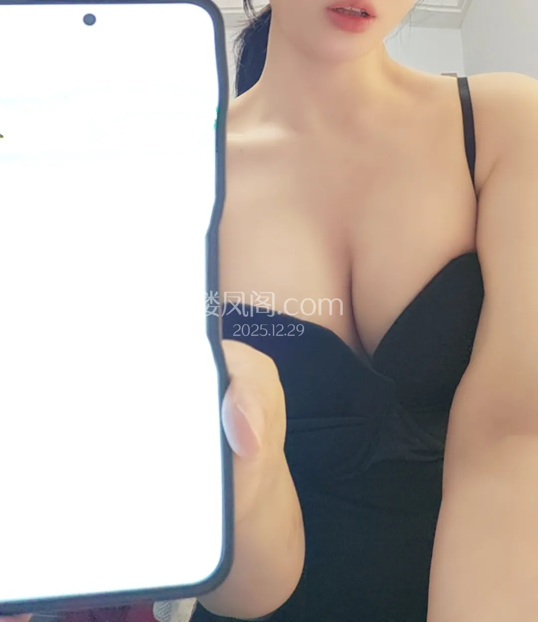 全国免费楼凤资源