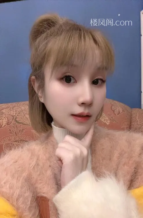 全国免费楼凤资源