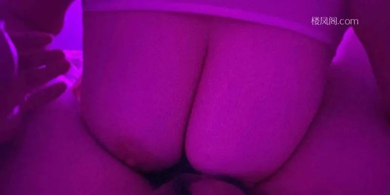 全国免费楼凤资源