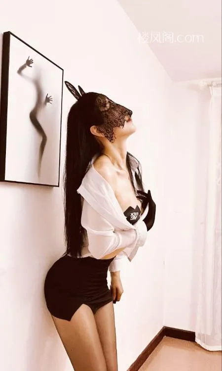 全国免费楼凤资源