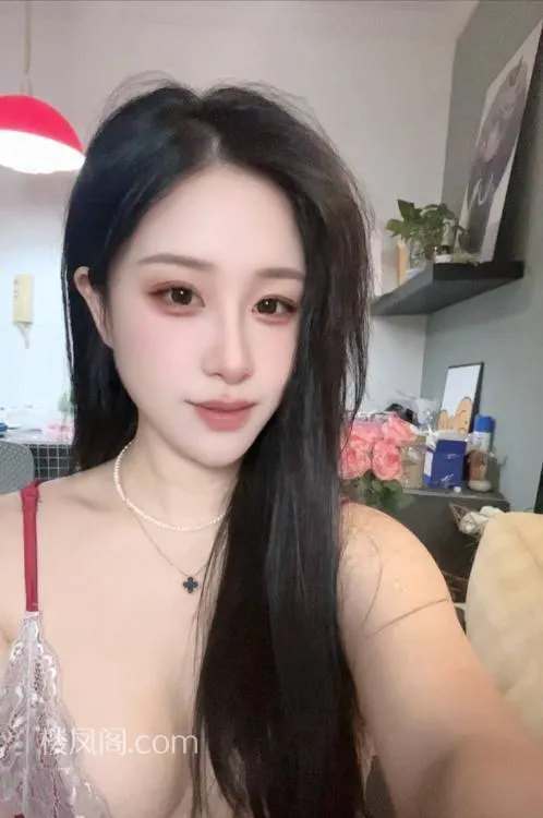 全国免费楼凤资源