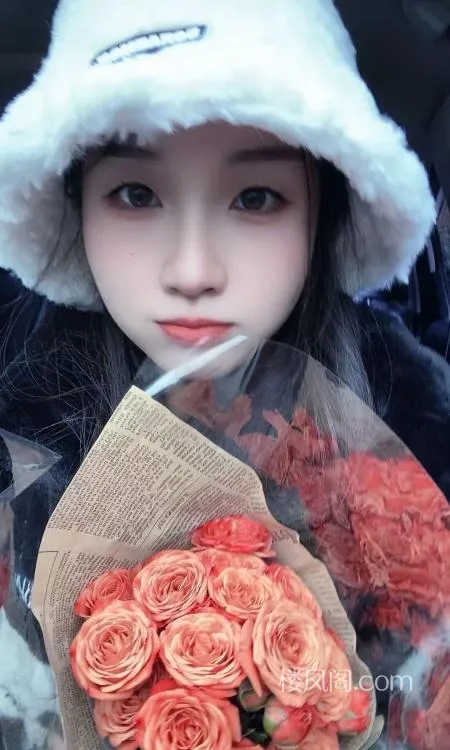 全国免费楼凤资源