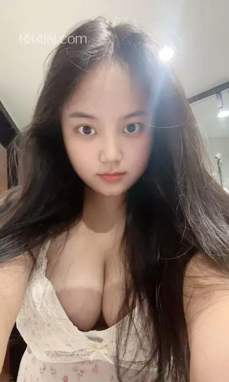 全国免费楼凤资源