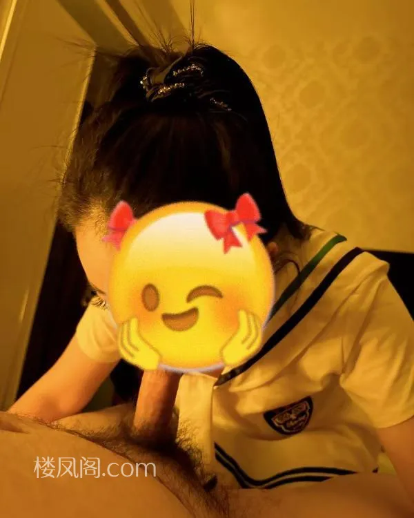 全国免费楼凤资源