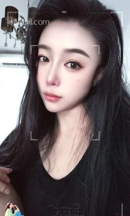 全国免费楼凤资源