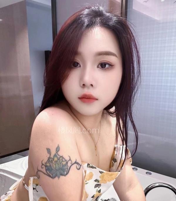 全国免费楼凤资源