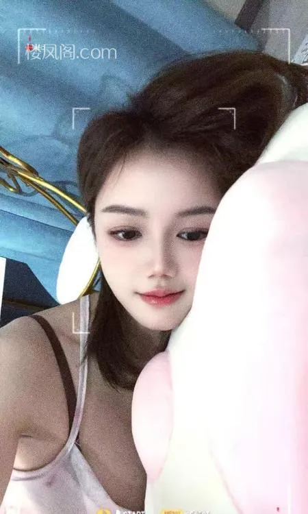 全国免费楼凤资源