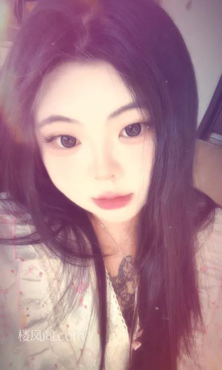 全国免费楼凤资源