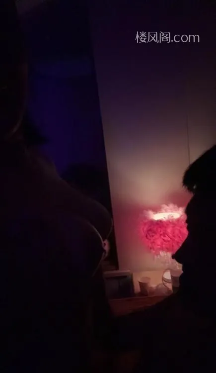 全国免费楼凤资源