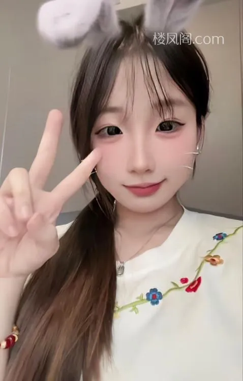 全国免费楼凤资源