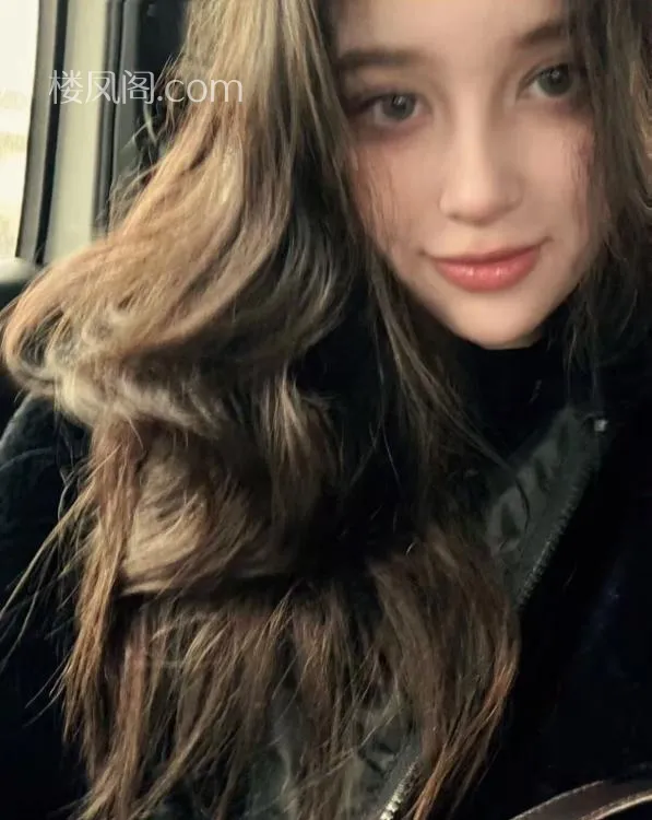 全国免费楼凤资源