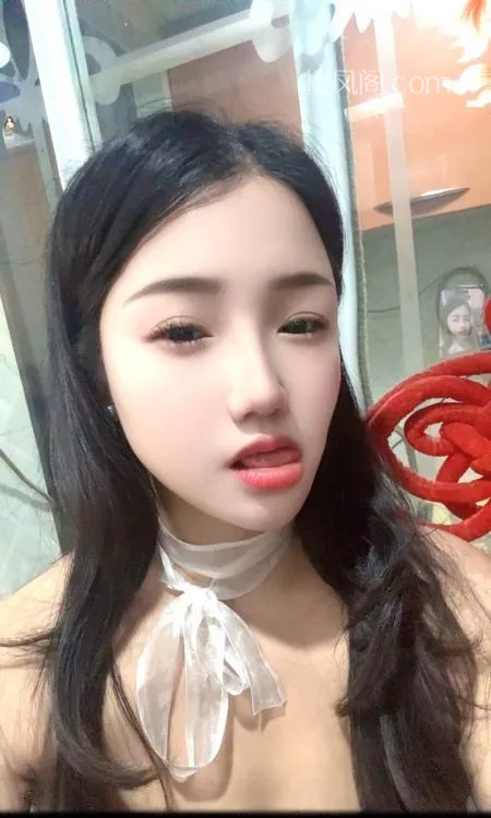 全国免费楼凤资源