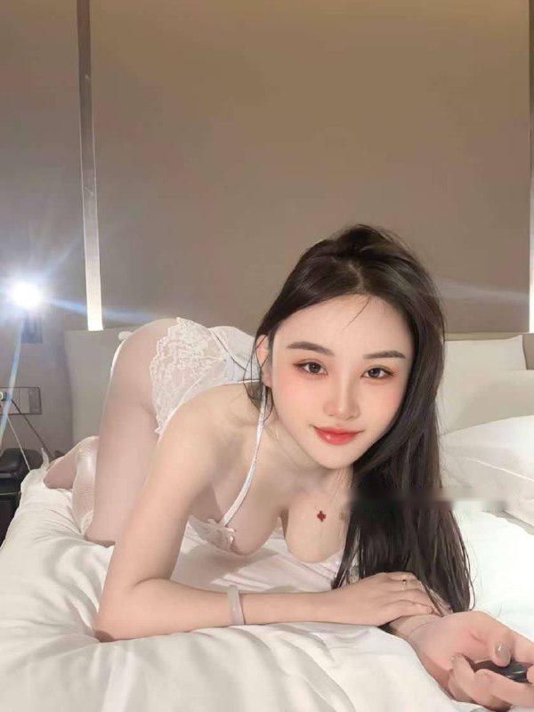 全国免费楼凤资源