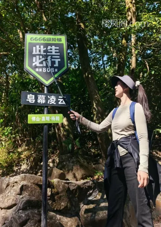 全国免费楼凤资源