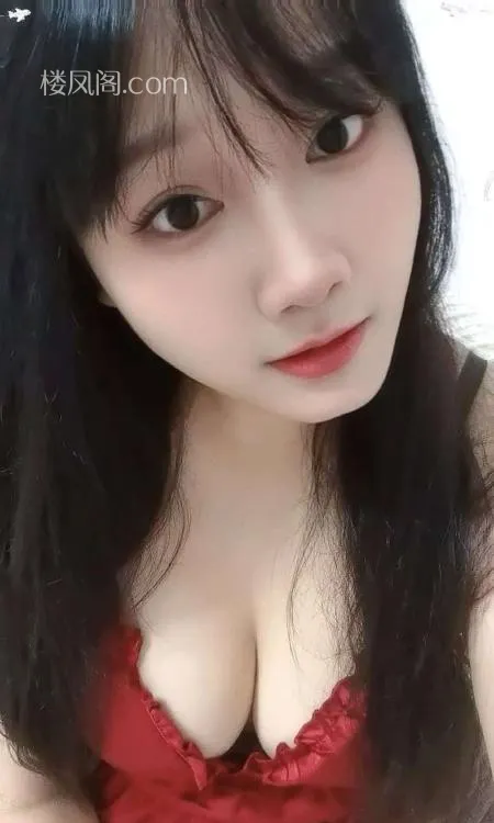 全国免费楼凤资源