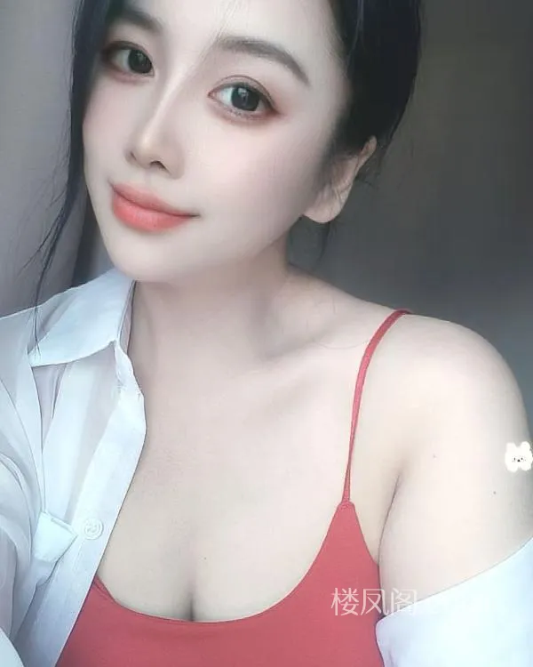 全国免费楼凤资源