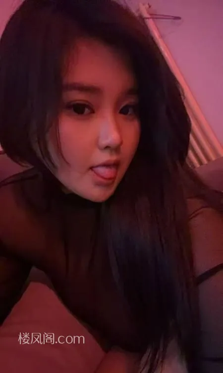 全国免费楼凤资源